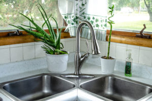 clean kitchen sink with houseplants