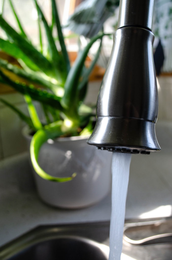 macro shot of water coming from kitchen faucet with aloe plant in the background