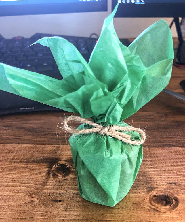 DIY party favor, votive candle wrapped in green tissue paper, with a twine bow