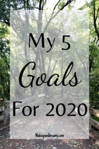 My 5 Goals for 2020 - Wake Up and Be Savvy